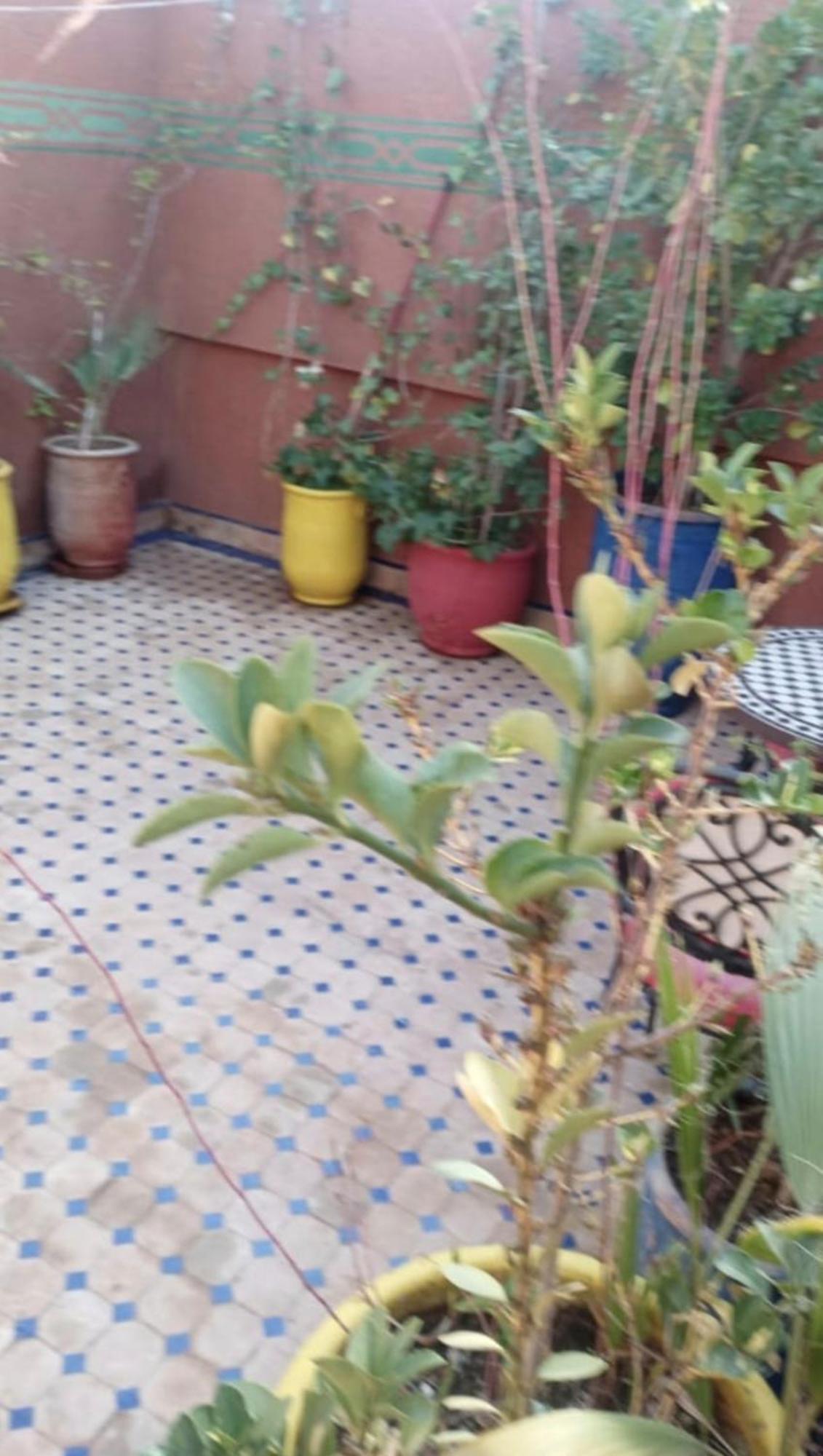 Charmant Riad Au Coeur De Marrakech มาร์ราเกช ภายนอก รูปภาพ
